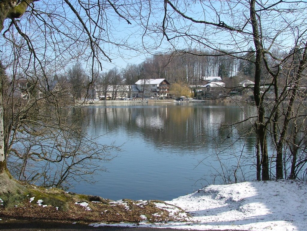 Buxheimer Weiher by Richard Mayer