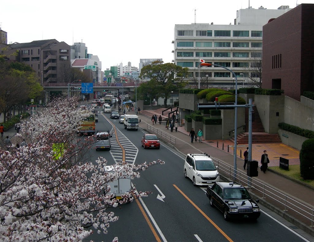 茅ヶ崎中央通り (Chigasaki chuo-dori street) by yossy