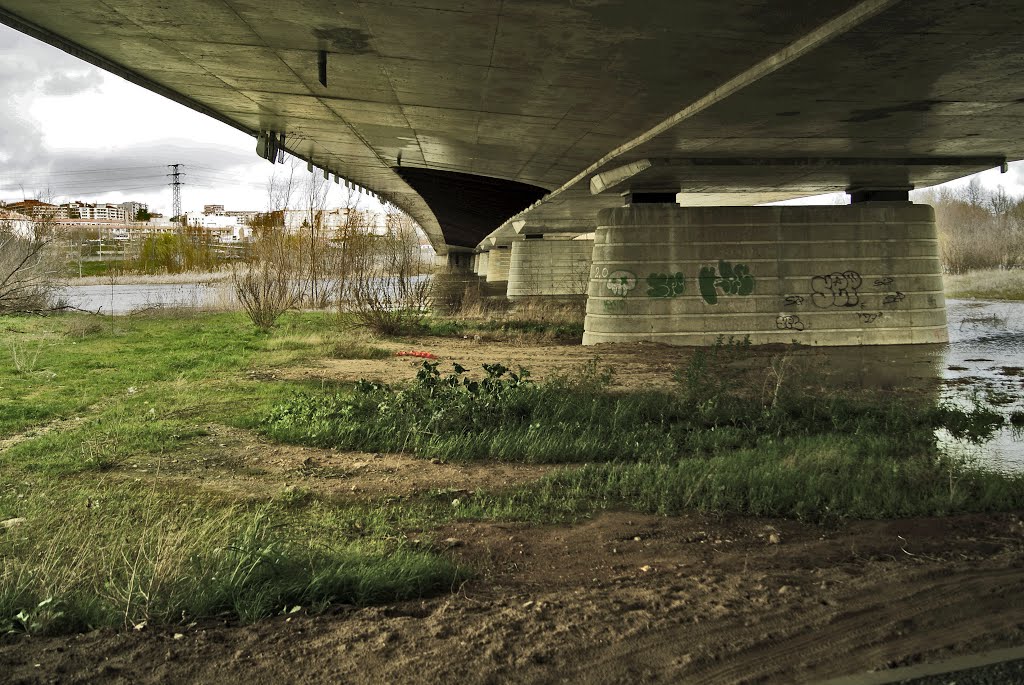 Bajo el puente by Dejavú