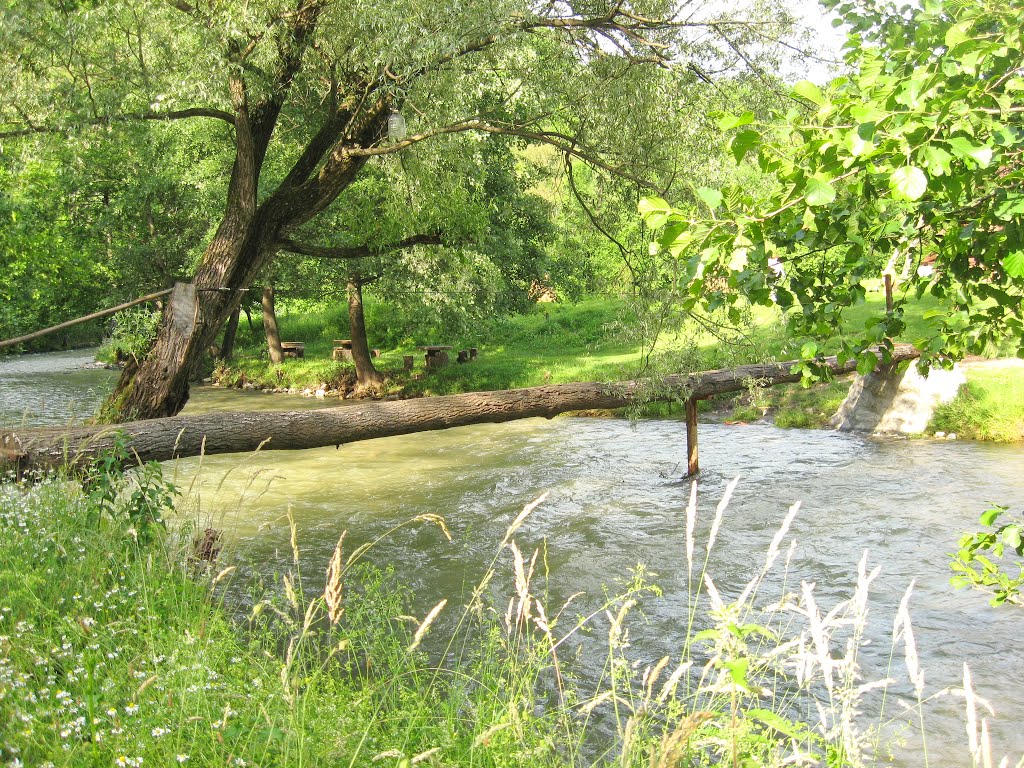 Crossing the River Gradac by sonjabgd