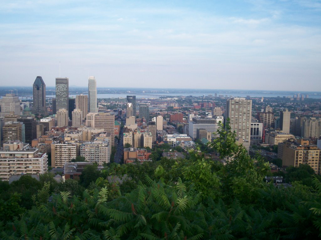 Mont Royal Montreal Canada by Roencanada