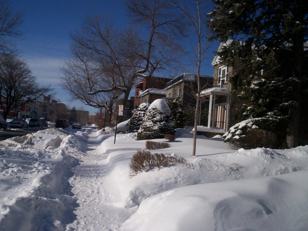 Outremont Montreal Canada by Roencanada