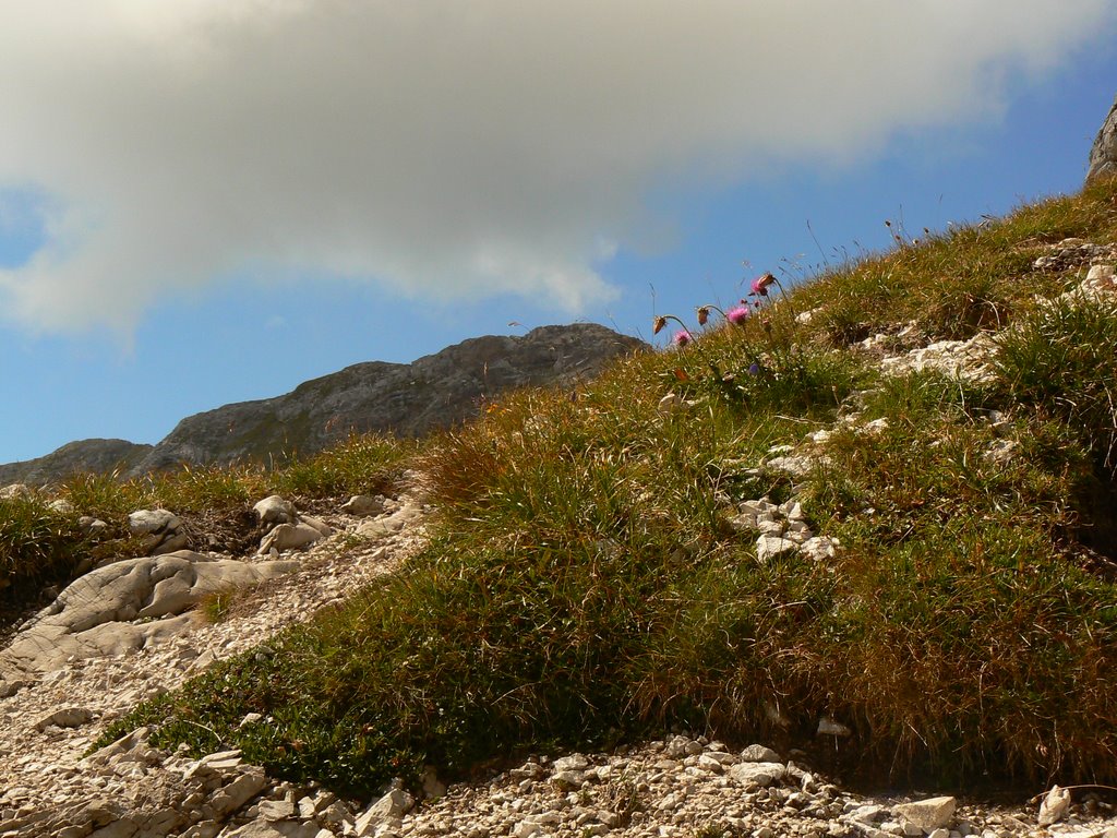 Cima del monte talvena in fondo by aldalucia