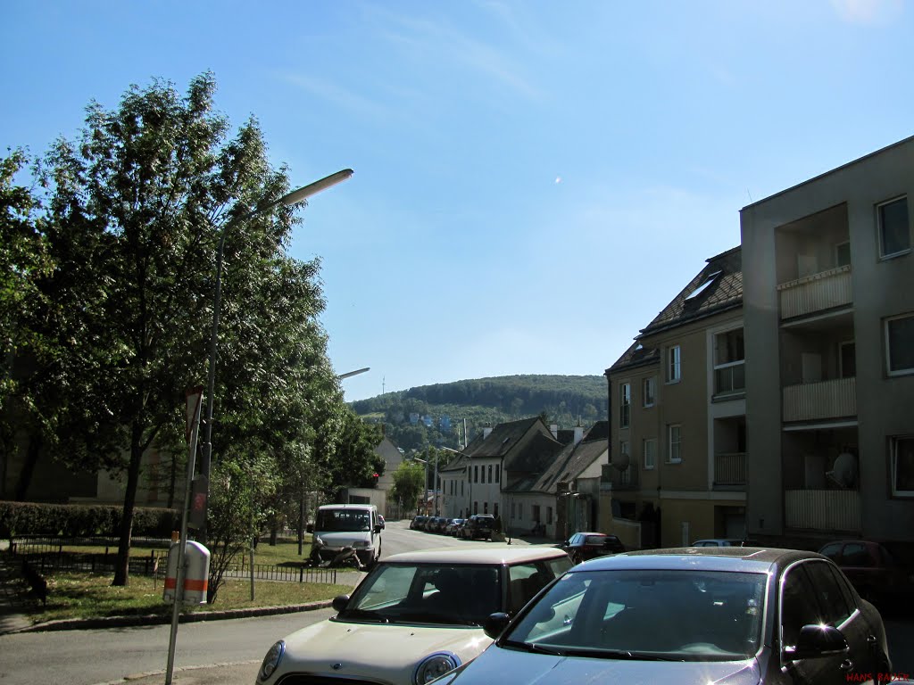 Hütteldorf - Rosengasse-Dehnegasse ‒ Blick zum Lainzer Tiergarten by Panix