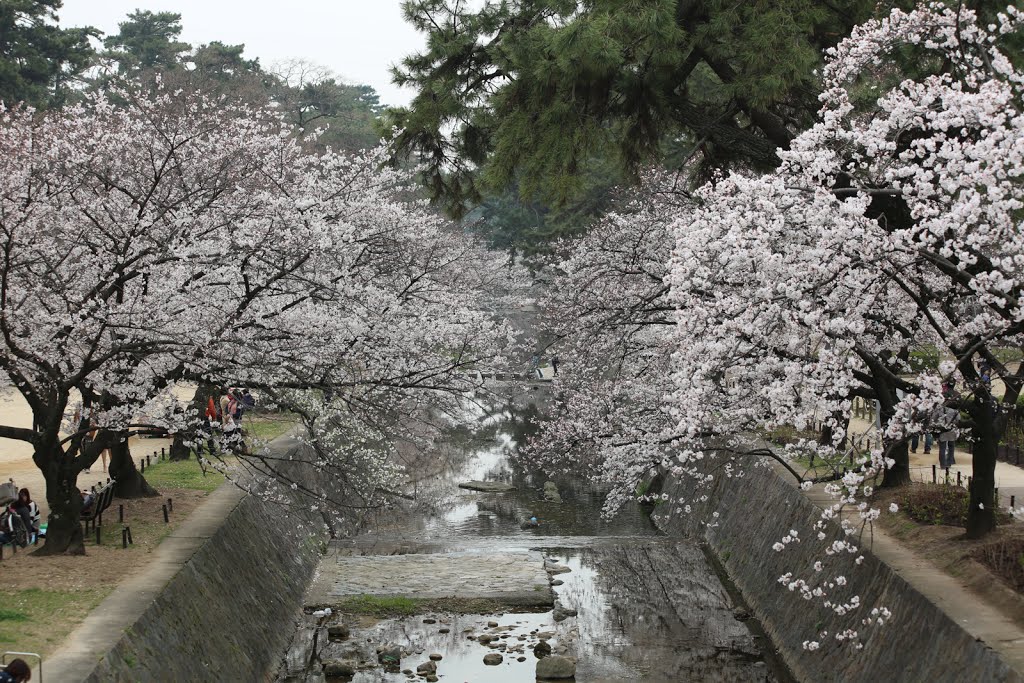 夙川公園 by kiriyan