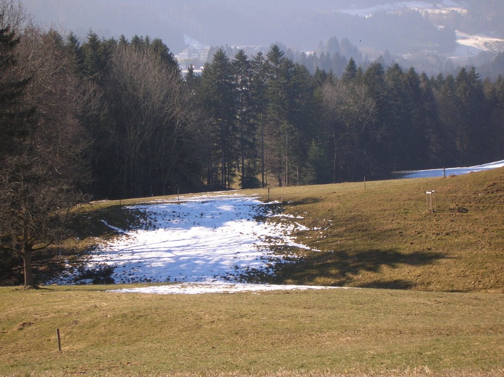 Wanderung auf den Etzel am 13.2.2008 by roliswiss