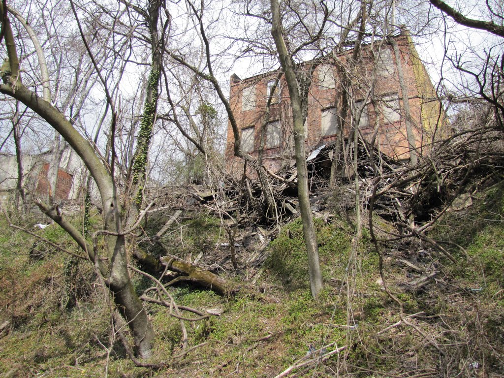 Gwynns Falls Trail Old Buildings by Chris Sanfino