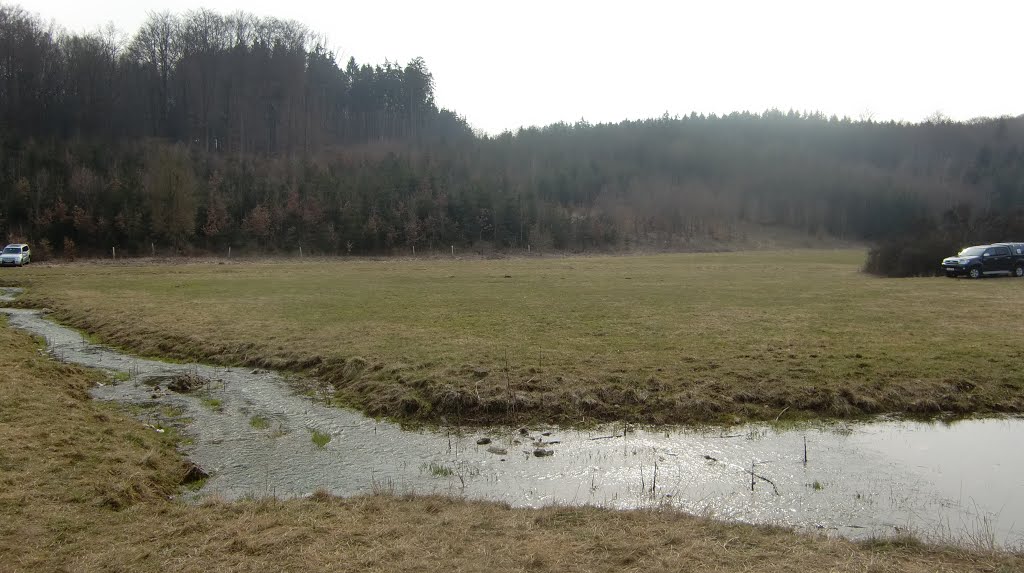 Hungerbrunnen führt Wasser by Wegerer