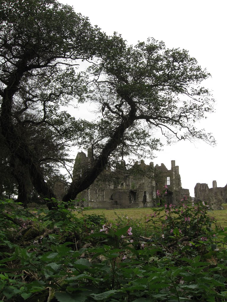 Neath Abbey Ruins by STEBBSO1