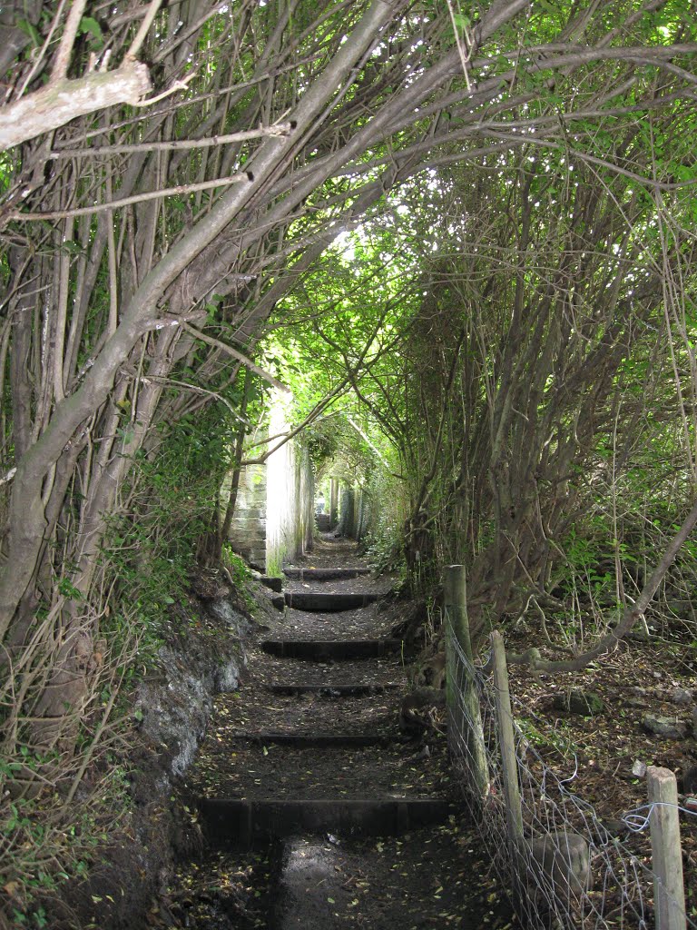 Spooky Path by STEBBSO1