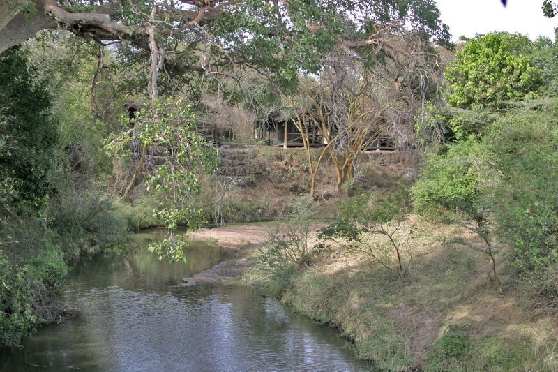 Fig Tree Camp in Masai Mara by Quique Morrique