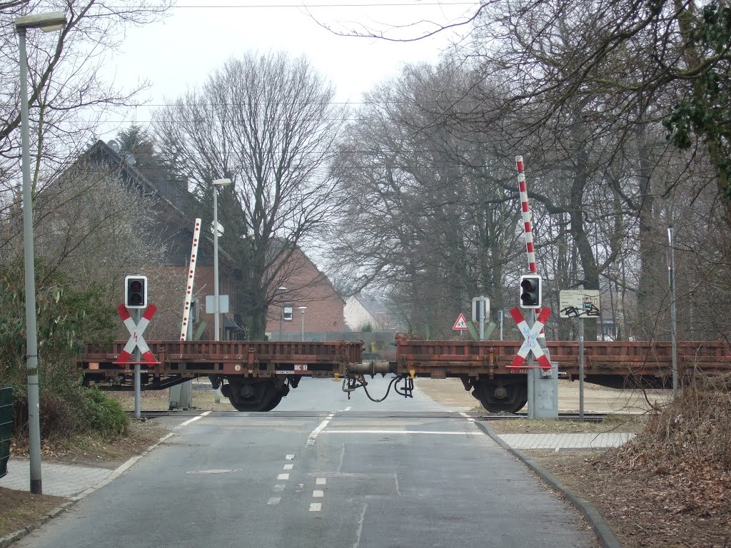 Zug parkt auf Bahnübergang by Hurrug