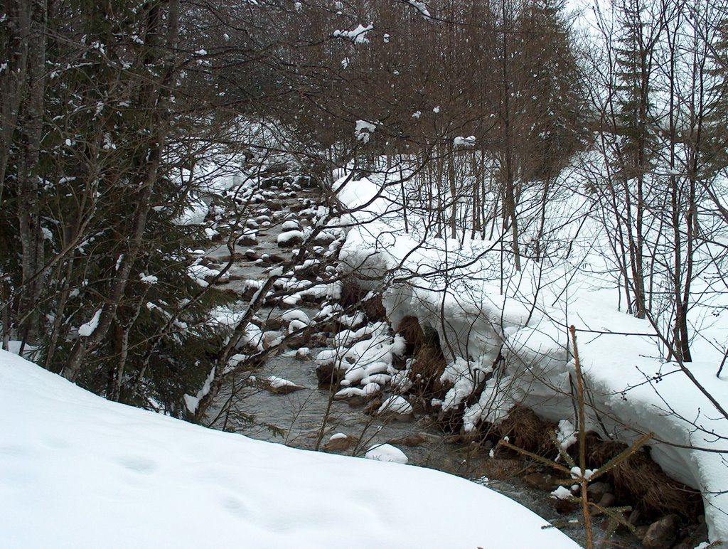 Winterspaziergang am Bärguntbach im Kleinwalsertal by Joachim Beetz