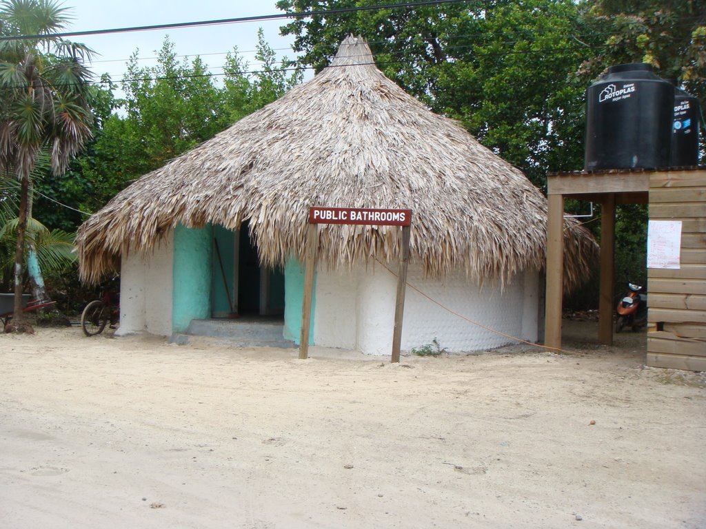 Baños Publicos / Public Restrooms by robertohonduras85