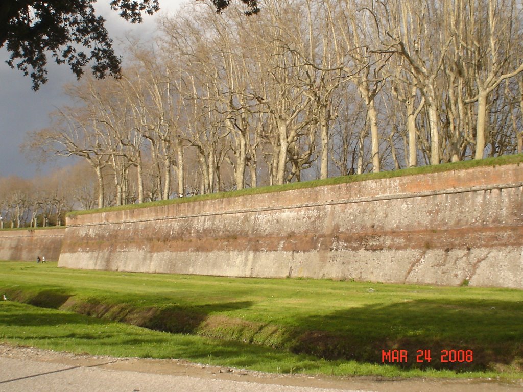 Viale delle mura urbane,Lucca by Teodora Nenkova