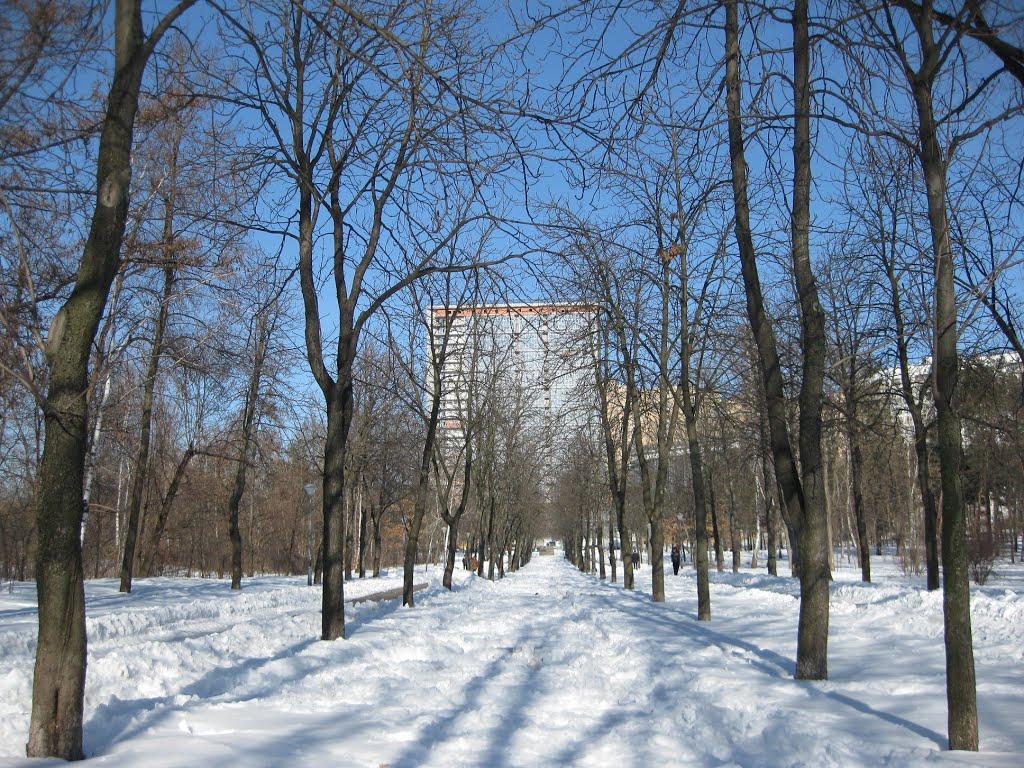 Парк "Победа". Весенний день 29.03.2013г by BSveta