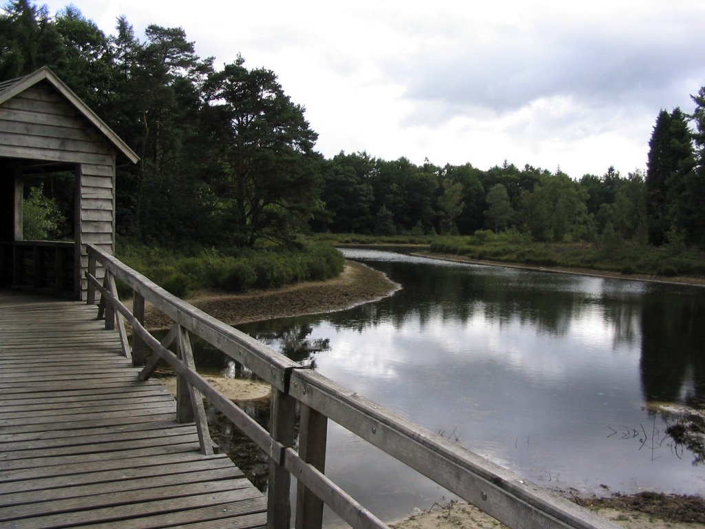 Haarplas (Zwanevijver) by Wim Wind