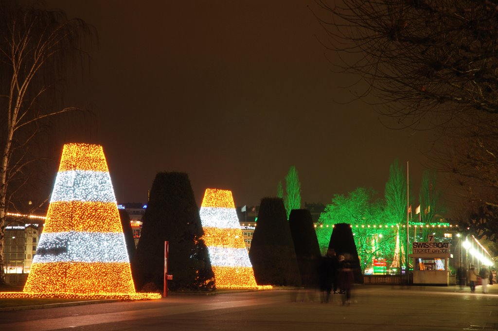 Genève, festival Arbres et Lumières by fdrsandro