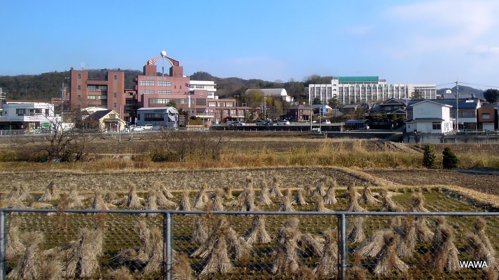 湊川短期大学　兵庫県三田市 by mandegan