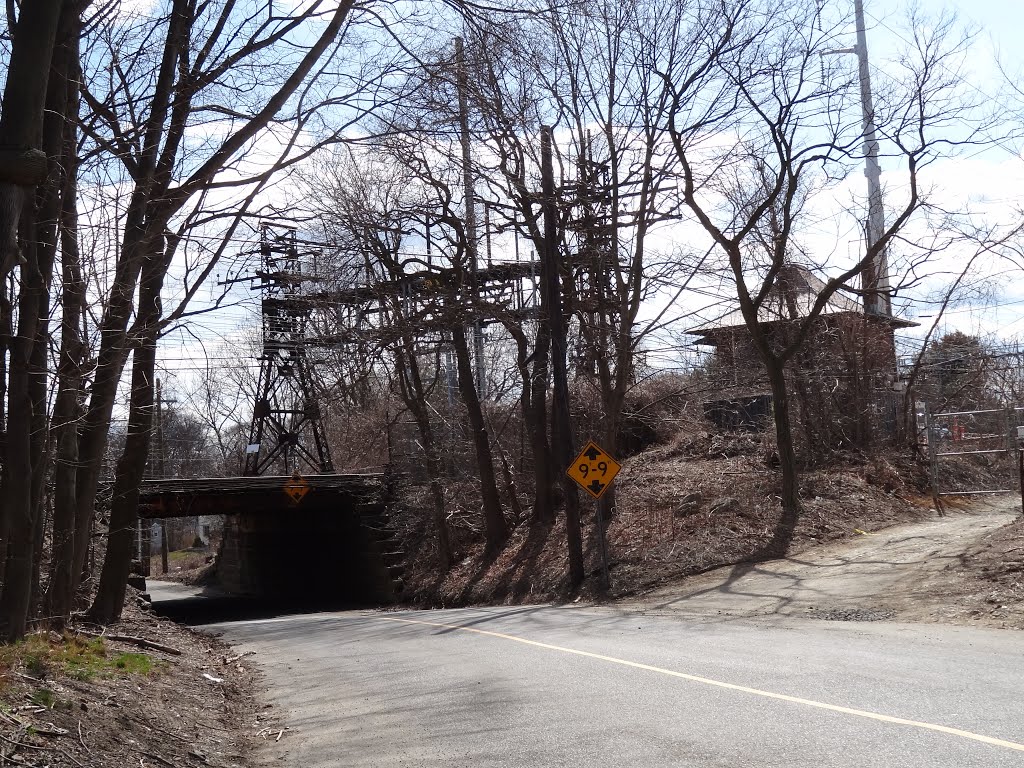 Metro North Railroad by rogerking