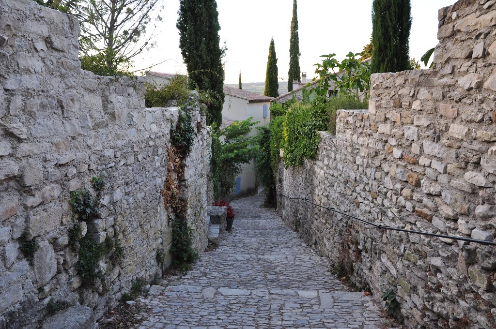 Vaison-la-Romaine, Cité Médiévale by Gianluca Musa