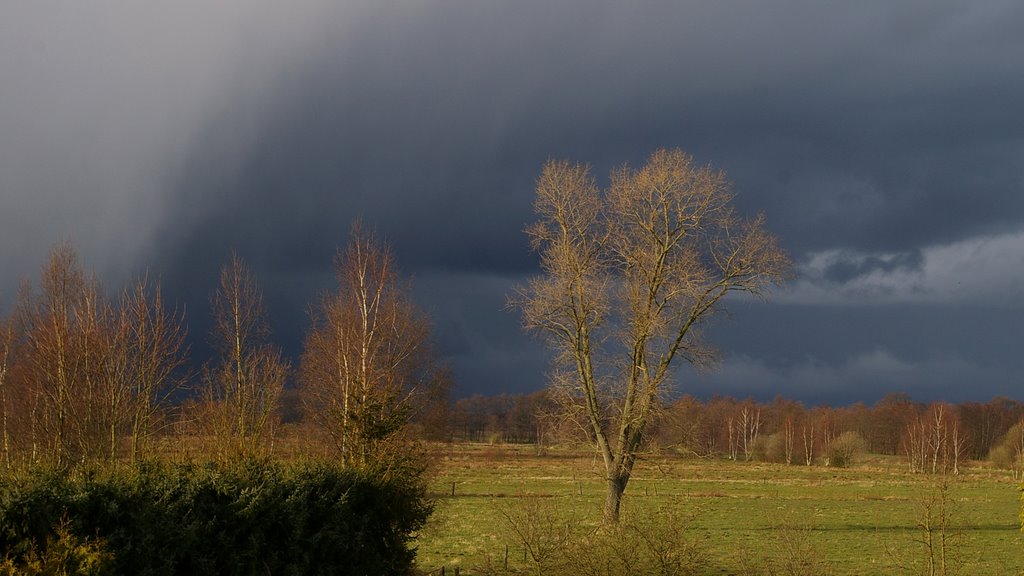 Sietmoor vorm Schneesturm by esbehabe