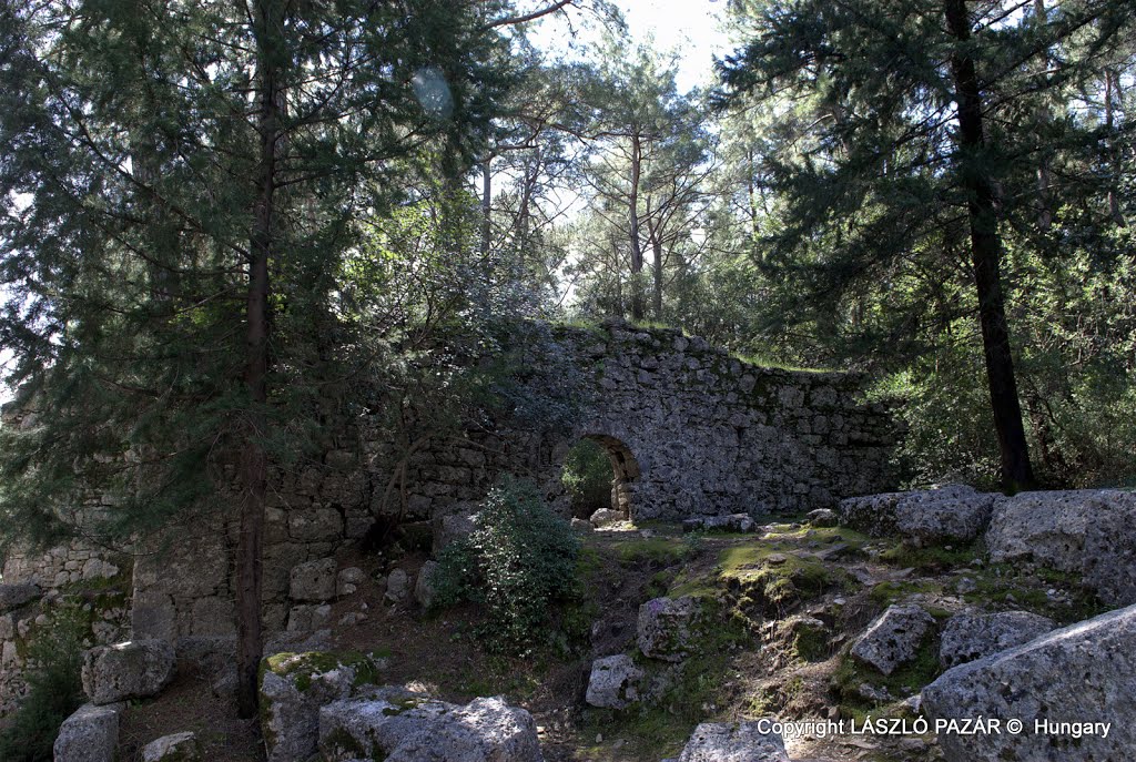 Köprülü Canyon V. by László Pazár