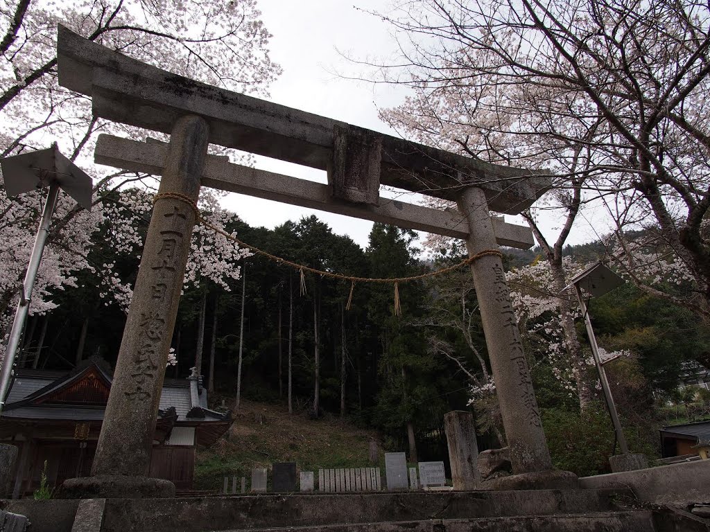 高地三所神社　鳥居 by folon X