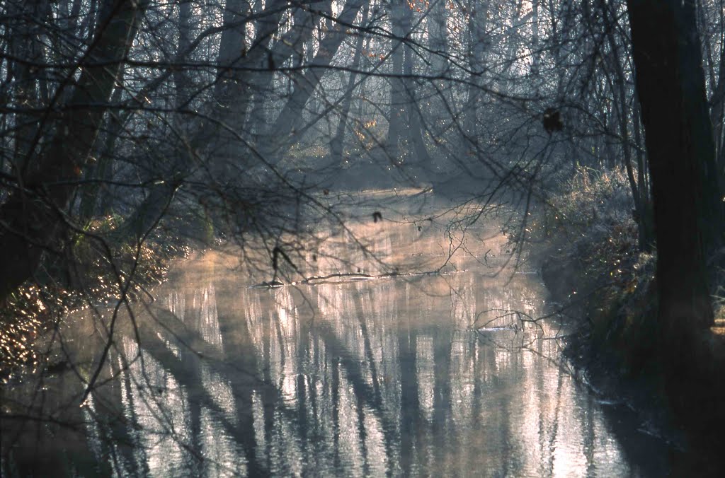 Roggia d'inverno by Massimo Clem