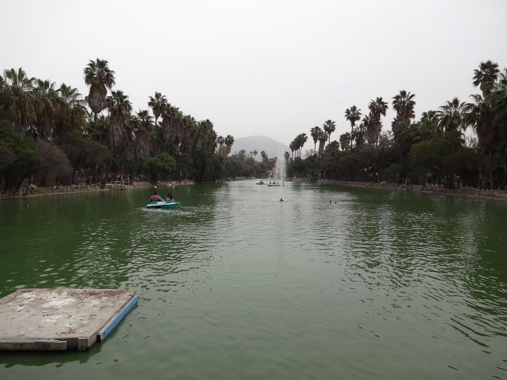 El lago en el Parque Morelos by sv173