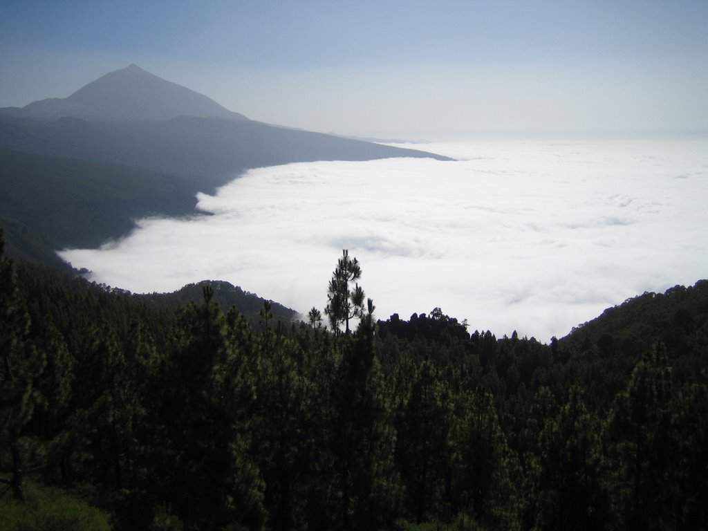 Blick über Orotavatal auf Teide by rayk dobkowitz