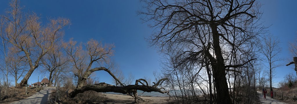 Near Rotary Park, Ajax, ON, Canada by Auggie