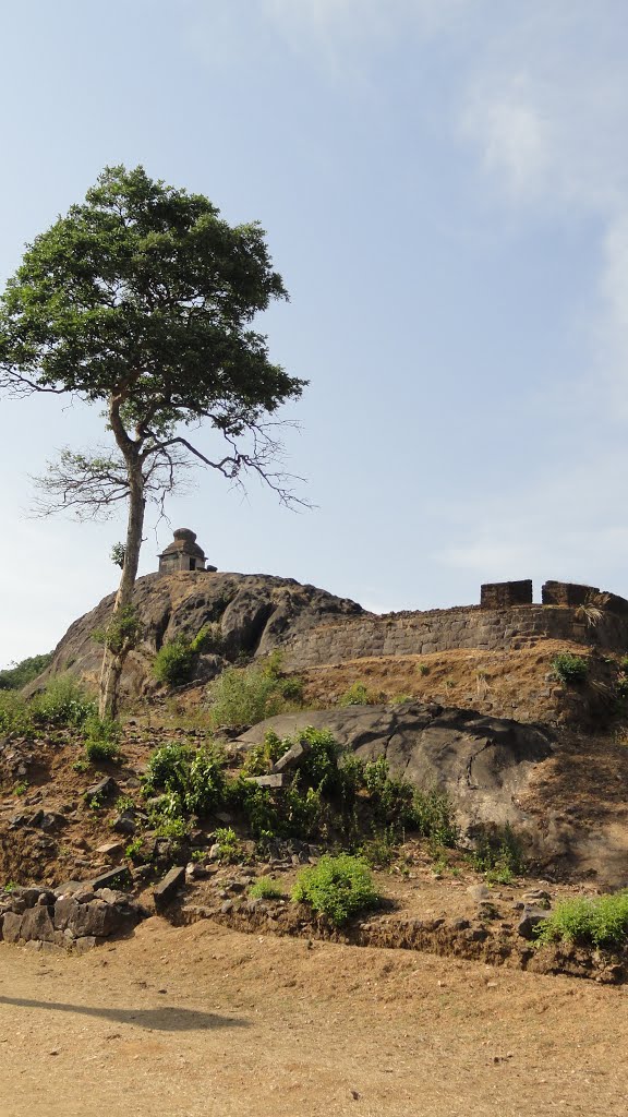 LakshmiNarayana temple in Fort by H.A.Gangadhara