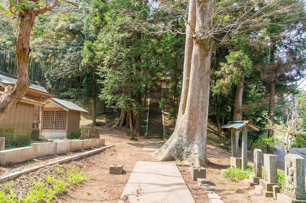 白山神社 -Hakusan Shrine- by Saruman8000