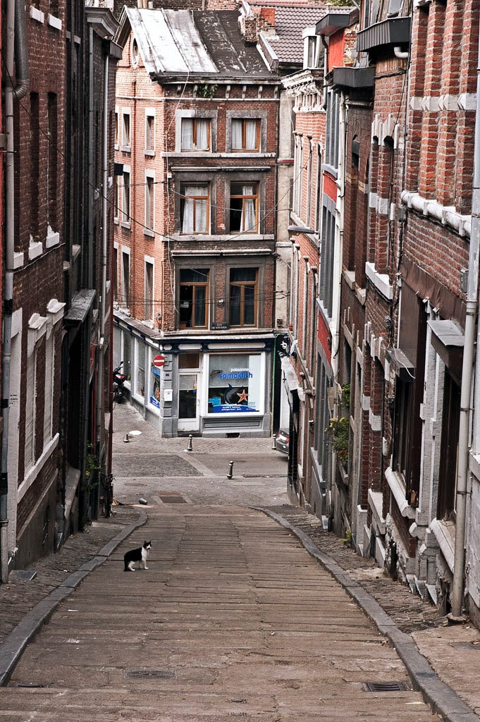 Rue des Tisserands by lithocarpus