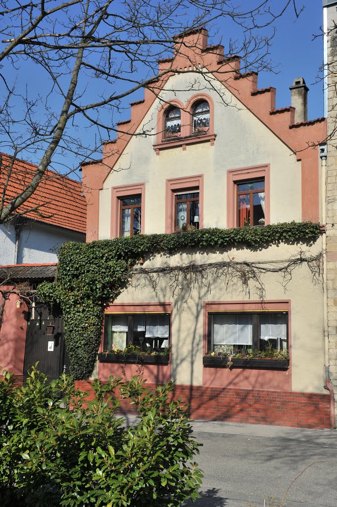 Marktplatz 9 by Franz Huber Bingen