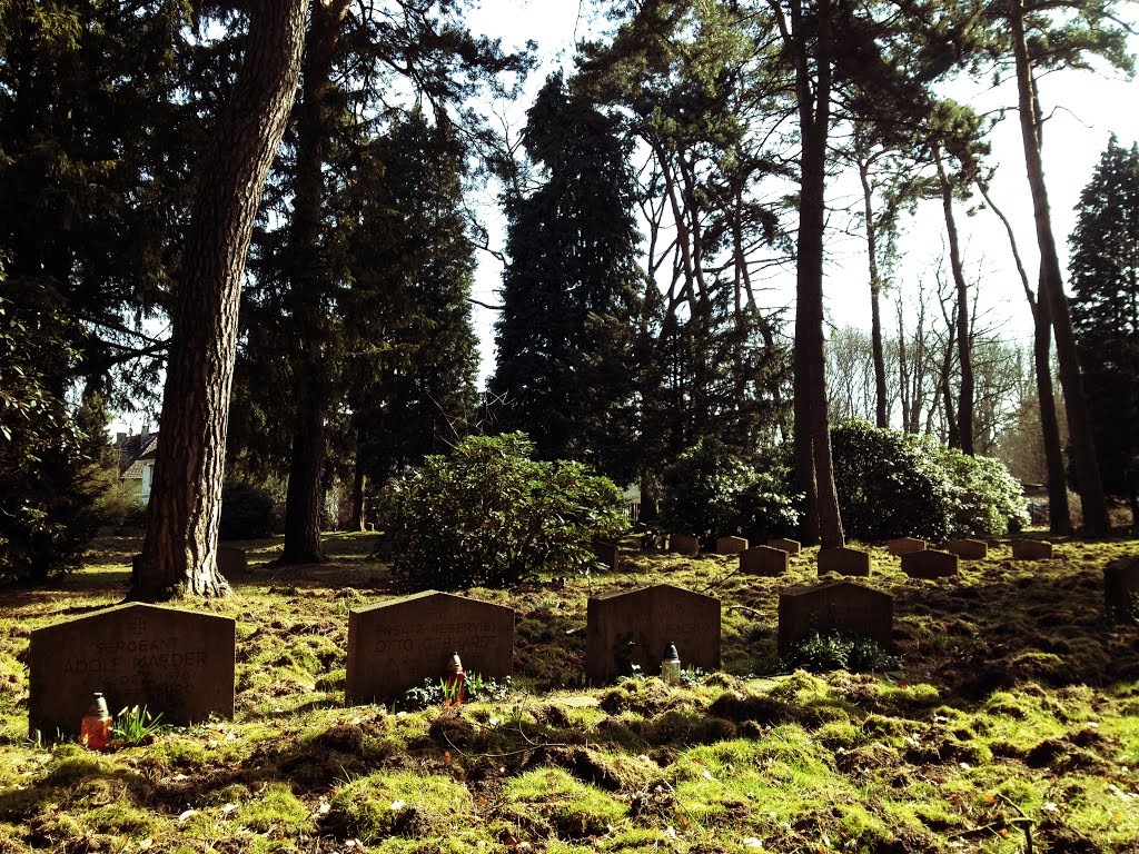 Ehrenfriedhof für Opfer des 2. Weltkrieges by Ingo Steinfeld