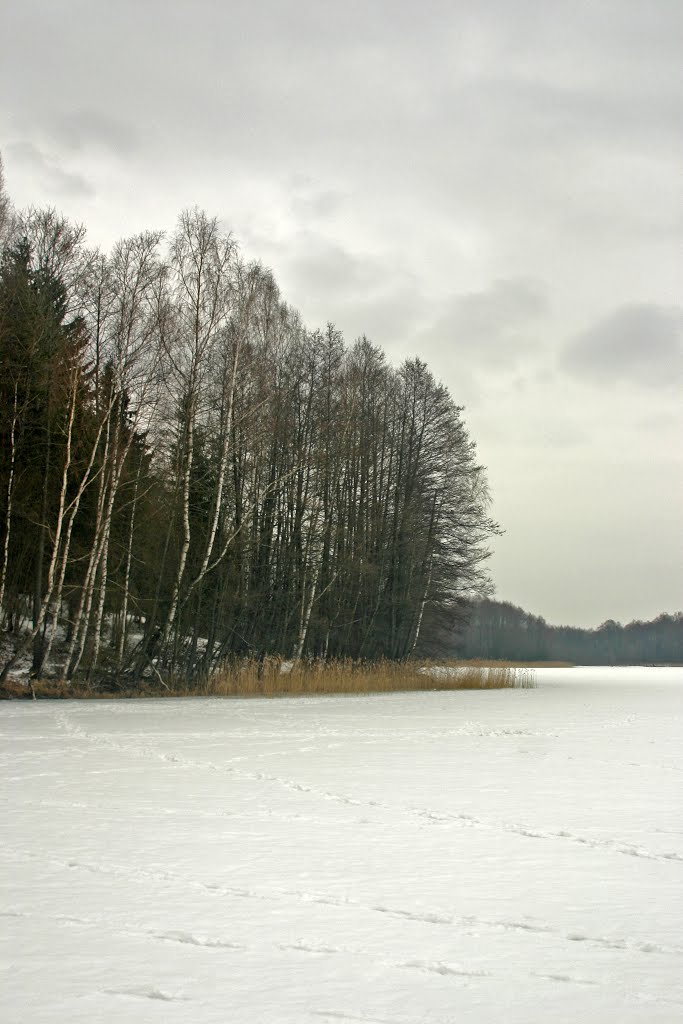 Ilgučio ežeras by rimas