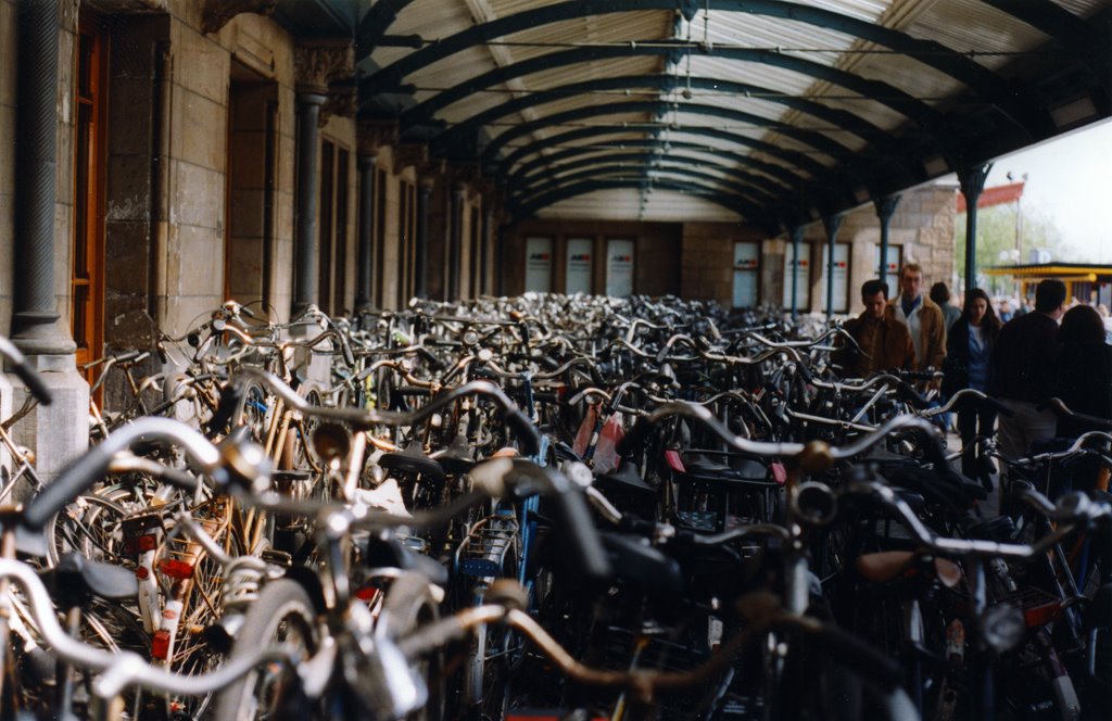 Amsterdam Station by Neil Praught