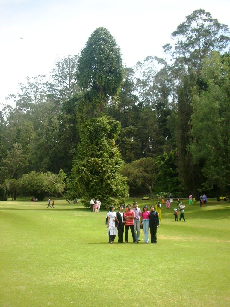 OOTY-Botanic Gardens by sasheeraj