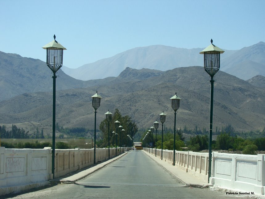 Puente a Vicuña, Chile by Patricia Santini