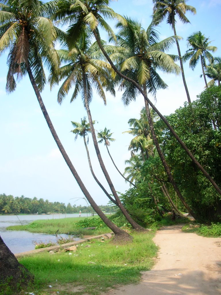 Varapuzha,Cochin Surburbs. by sasheeraj