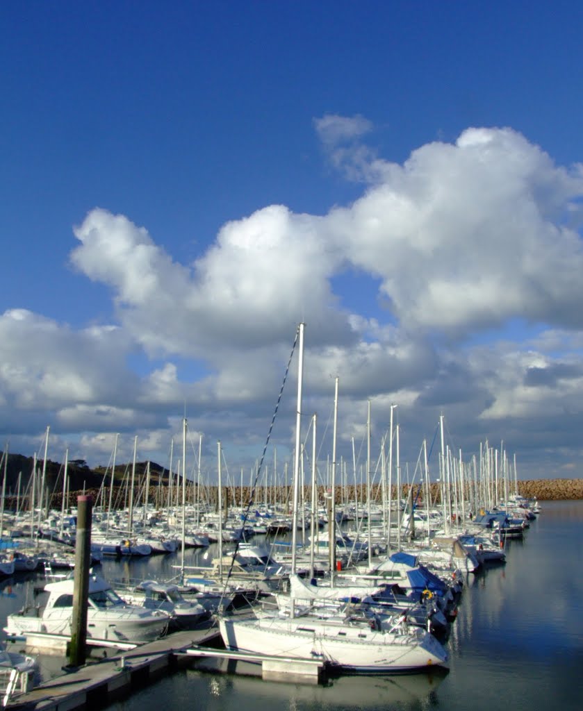 Le port de Trebeurden by Nicolas Milot