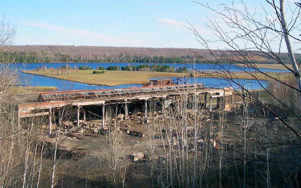 Ruins of Quincy Stamp Mill No. 1 by itto2