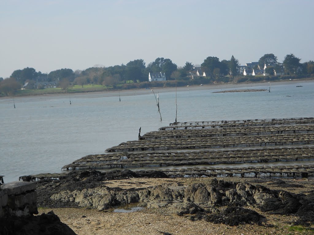 Le golfe du morbihan a port blanc by gisou56