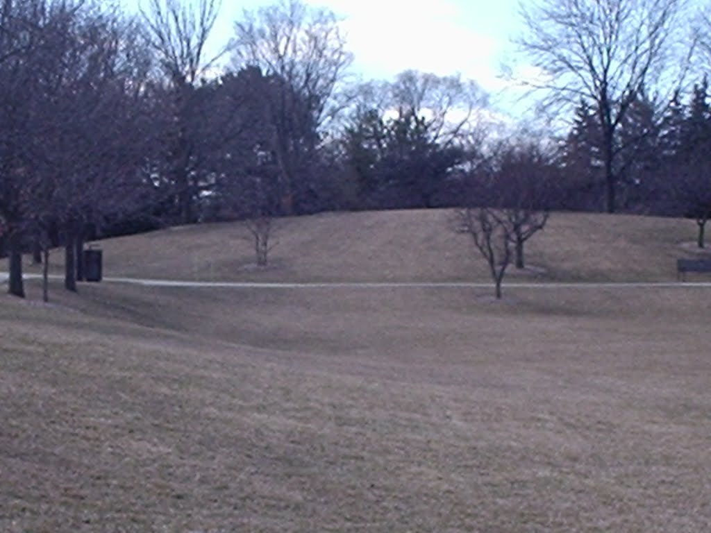 Flick Park open field South end view by justinwater452