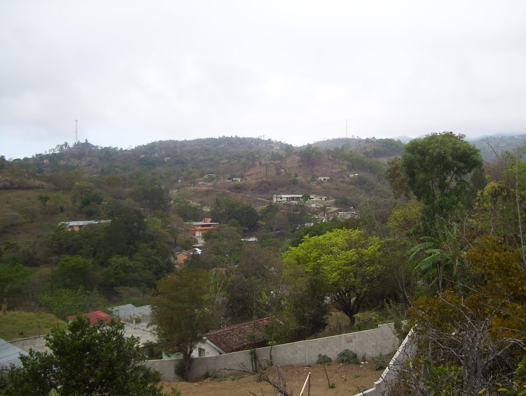 Potrero Grande desde mi terraza. by Jaime Ponce Guay