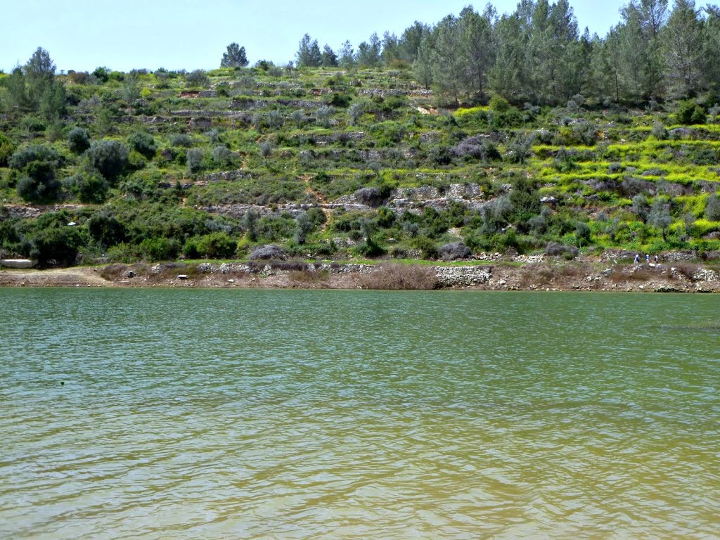 Beit Zait lake (Israel, 2013) אגם סכר בית זית by smeroz