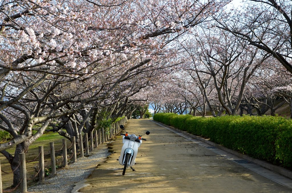 戦場ヶ原公園 by gatarou