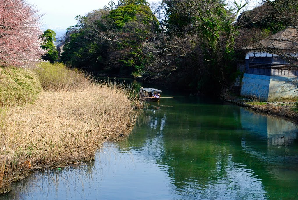 River:Daishoji-gawa　大聖寺川八間道船乗場　桜咲く頃長流亭 by paleblue49